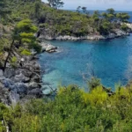Εικόνα από Σκόπελο 18