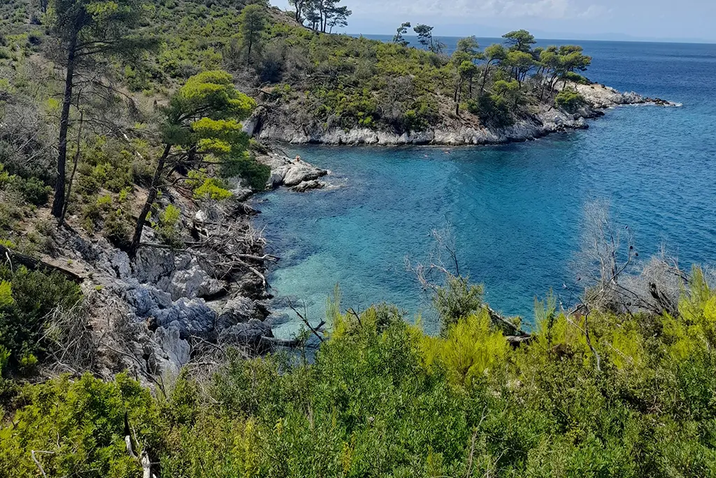 Stay in Skopelos gallery image 1