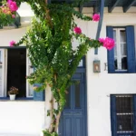 Εικόνα από Σκόπελο 15