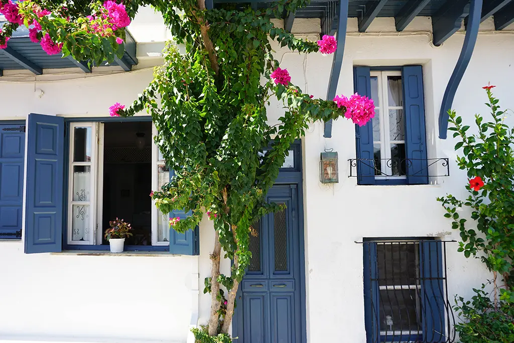 Stay in Skopelos gallery image 4
