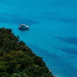 Εικόνα από Σκόπελο 11